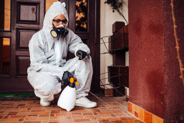Reliable Ant Control contractor in Poplarville, MS by Show Me Pest Control