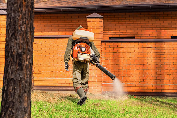 Top rated local Ant Control specialists in Poplarville, MS